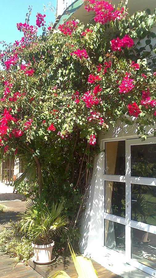 Cape Oasis Guesthouse Bloubergstrand Dış mekan fotoğraf