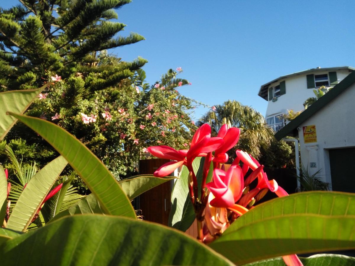Cape Oasis Guesthouse Bloubergstrand Dış mekan fotoğraf